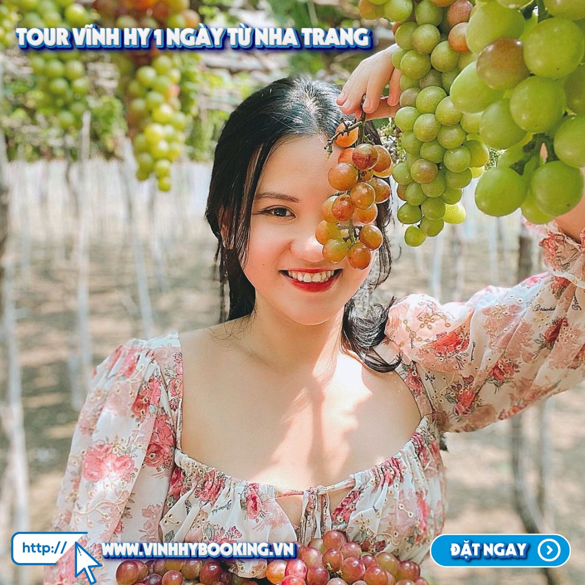 Tham quan vườn nho trong tour Vĩnh Hy 1 ngày khởi hành từ Nha Trang