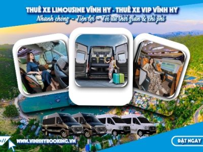 avatar-thue-xe-limousine-vinh-hy